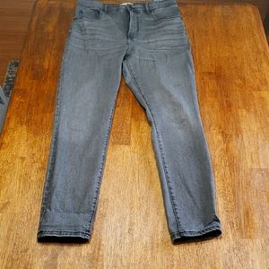 Everlane Authentic Stretch High rise skinny jean